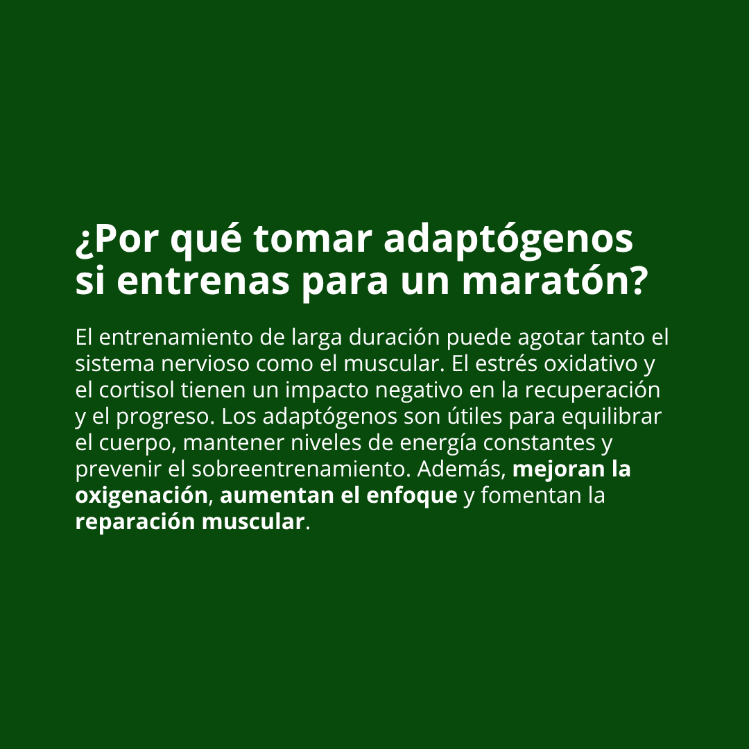 Esencial Maratón 🏃🏻