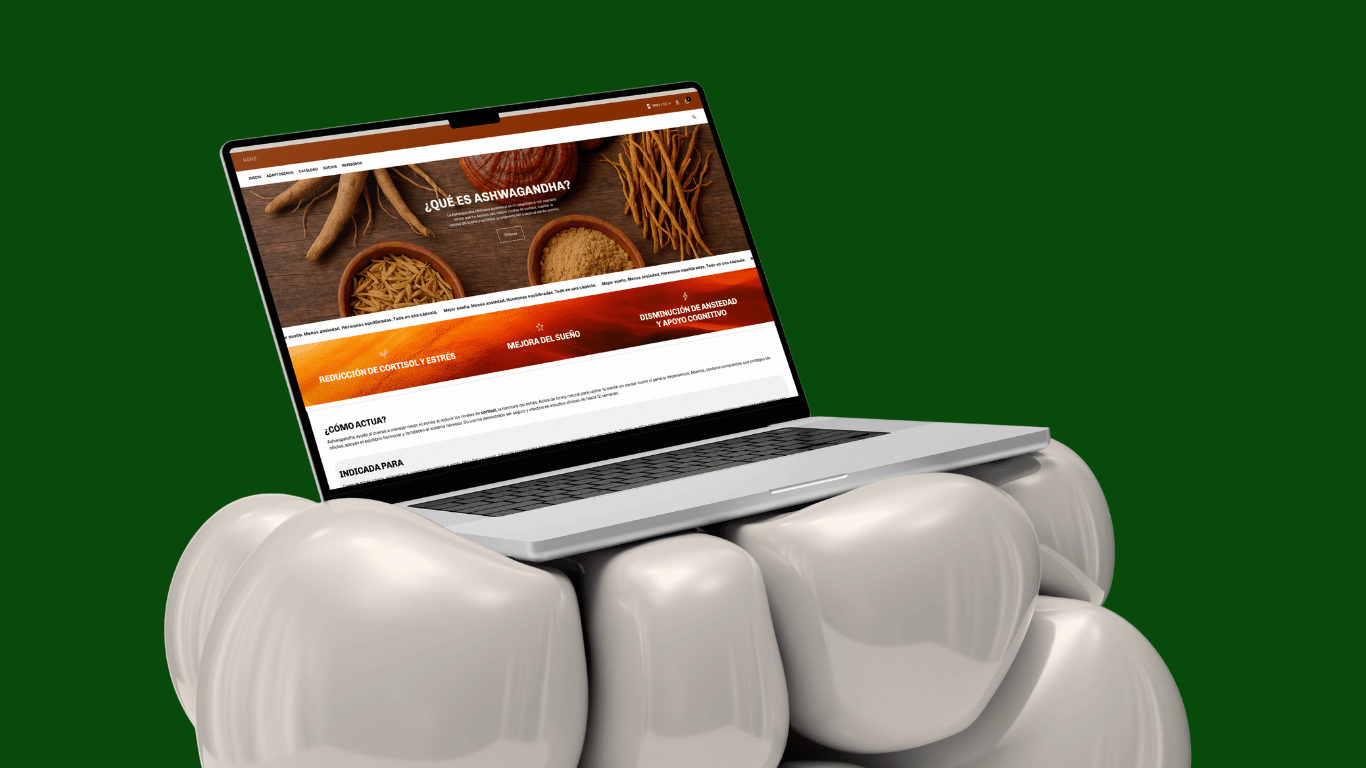 Melena de León: el hongo que le da flow a tu cerebro