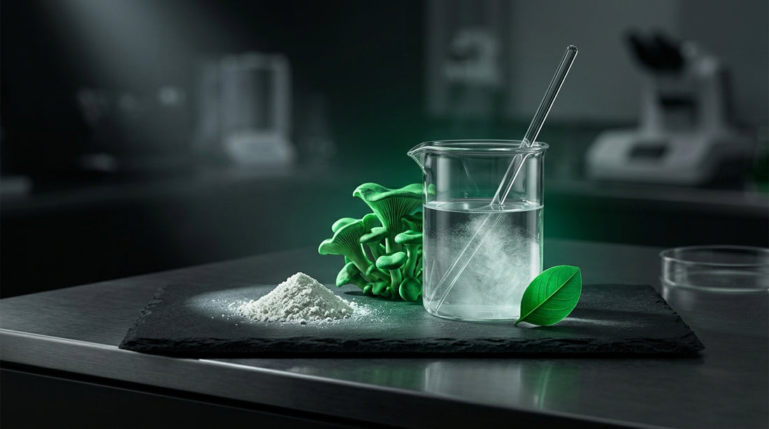 Imagen de portada: Creatina 200 Mesh vs Normal: Diferencias Científicas y Cuál Elegir