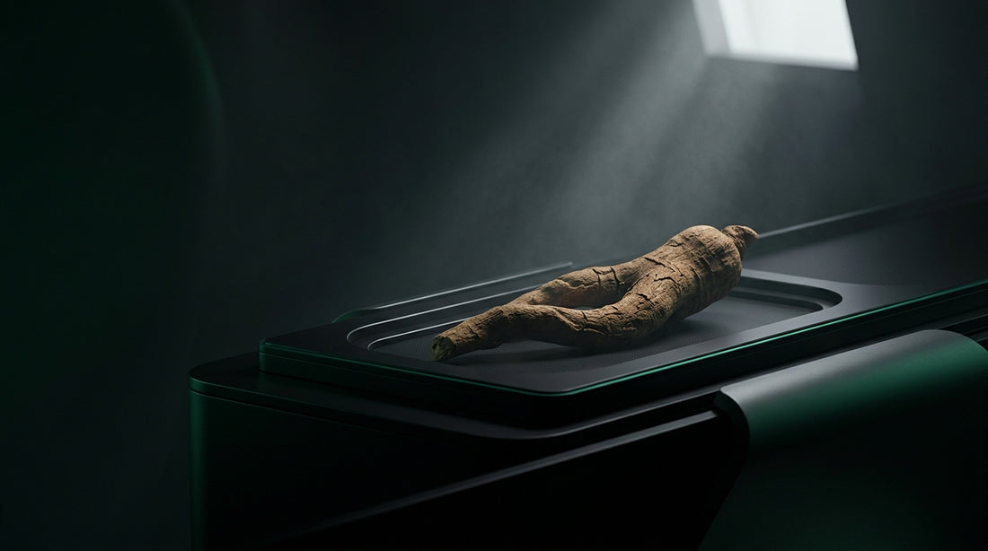 Imagen de portada: Dónde comprar ashwagandha en México: Guía de calidad científica 2026