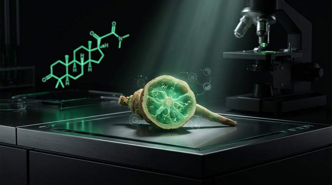 Imagen de portada: Estudios científicos de ashwagandha sistema inmune: La Guía Completa