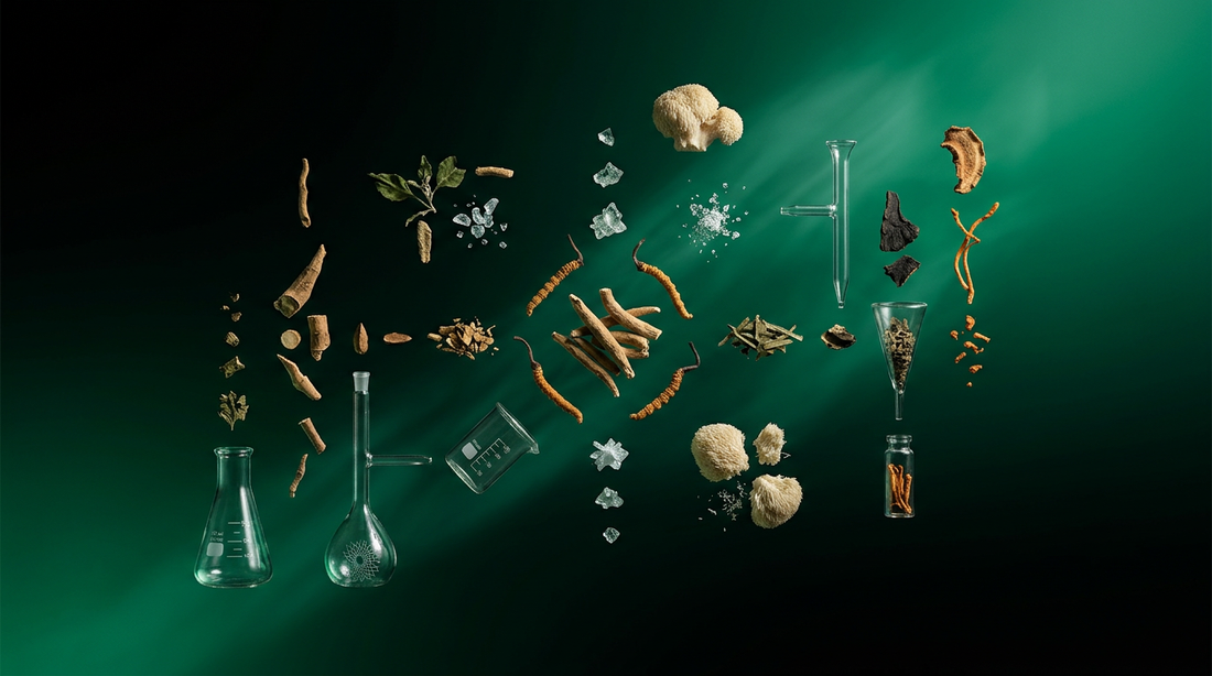 Imagen de portada: Where to Buy Adaptogens in Los Angeles: Your Guide to Quality and Science