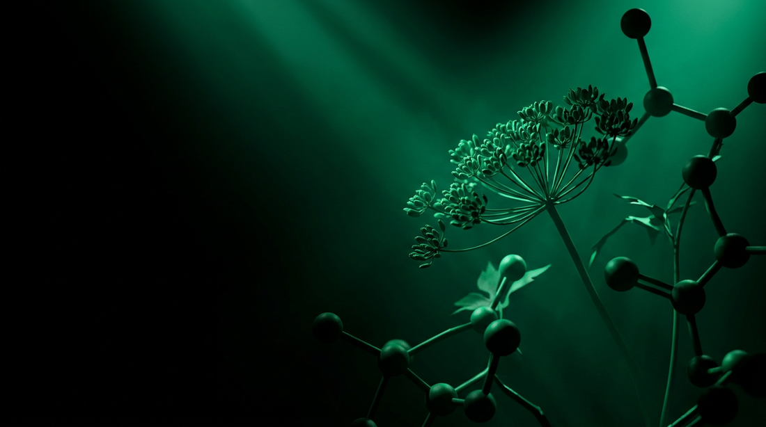 Imagen de portada: Where to Buy Lion's Mane in Chicago: A Guide to Quality and Purity